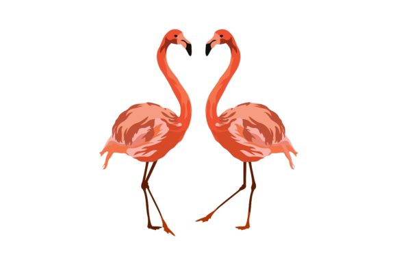 Download Couple Sweet  Pink Flamingo Illustration - Premium Resources