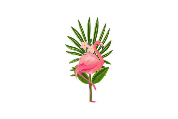 Download Cute Flamingo Illustration - Premium Resources